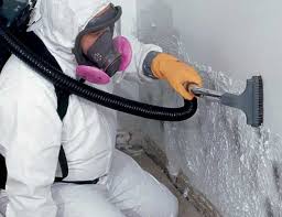 Best Environmental Consulting for Mold Prevention  in Devola, OH